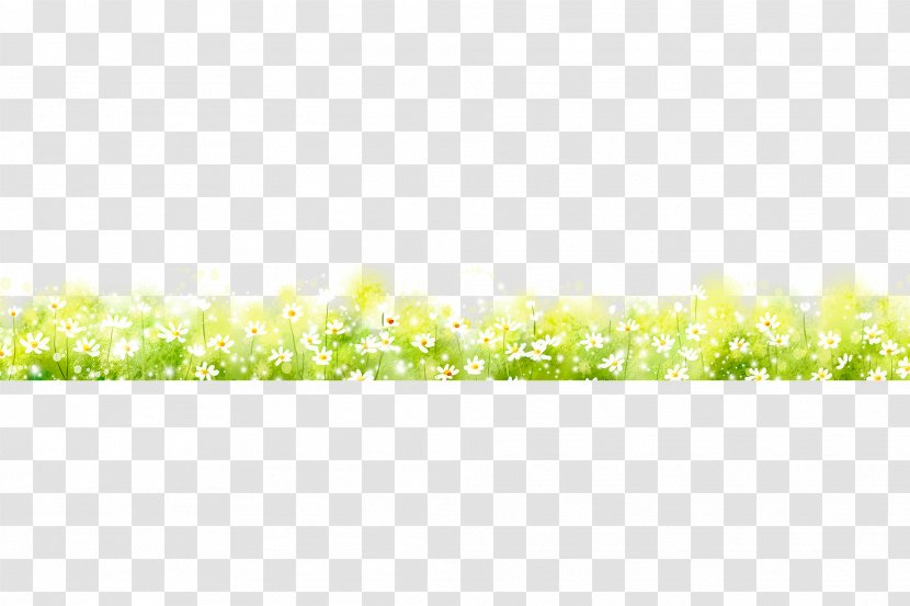 Download Green Data Search Engine - Yellow - Grass, Plants Transparent PNG