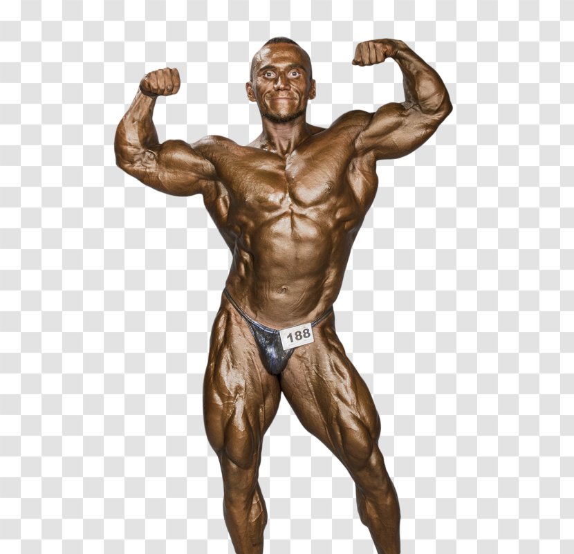 Malaysia Bodybuilding Muscle Man Arm - Frame Transparent PNG