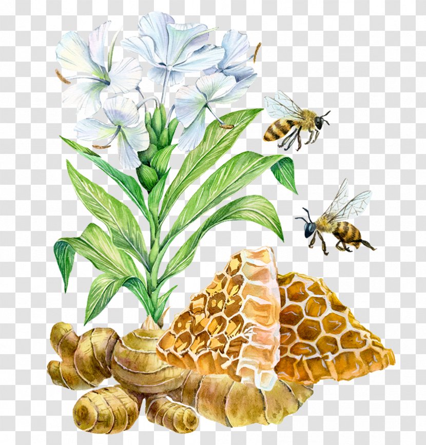 Bee Watercolor Painting Ginger Illustration - Invertebrate - Hand-painted Flowers Honeycomb Transparent PNG
