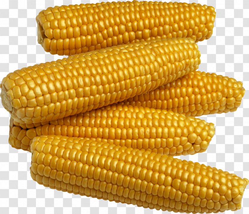 Maize Corn On The Cob Kernel Sweet Food - Ingredient - Yellow Image Transparent PNG