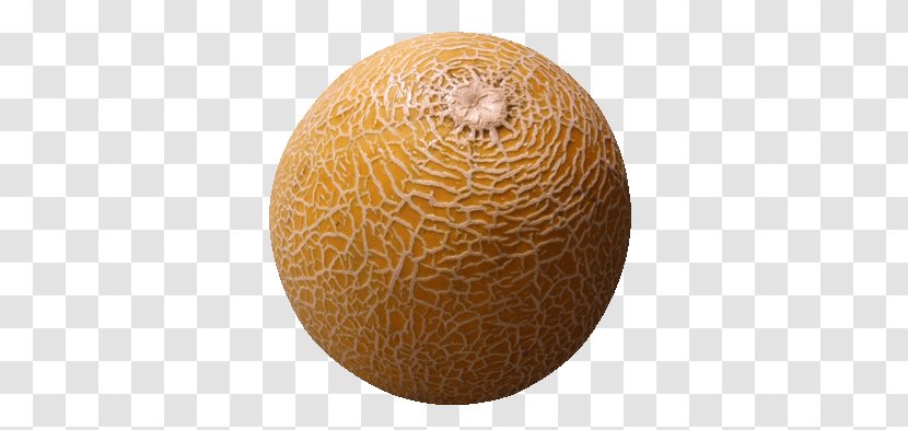 Cantaloupe Alien Fruit: Book 1 Of The Newark Series Honeydew Auglis - Animated Film - Watermelon Transparent PNG
