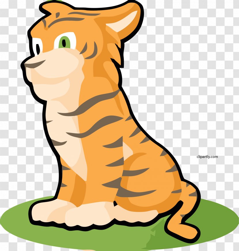 Clip Art Tiger Whiskers Illustration - Artwork Transparent PNG