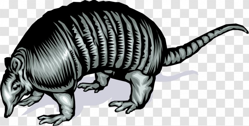 Armadillo Vector Graphics Cartoon Image Animal - Armedillos Insignia Transparent PNG