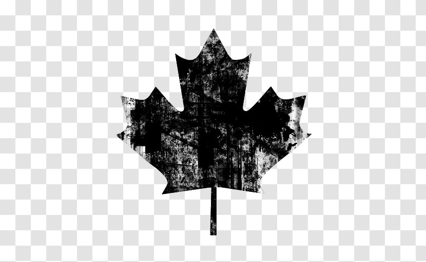 Flag Of Canada Maple Leaf - Plant - Background Transparent PNG