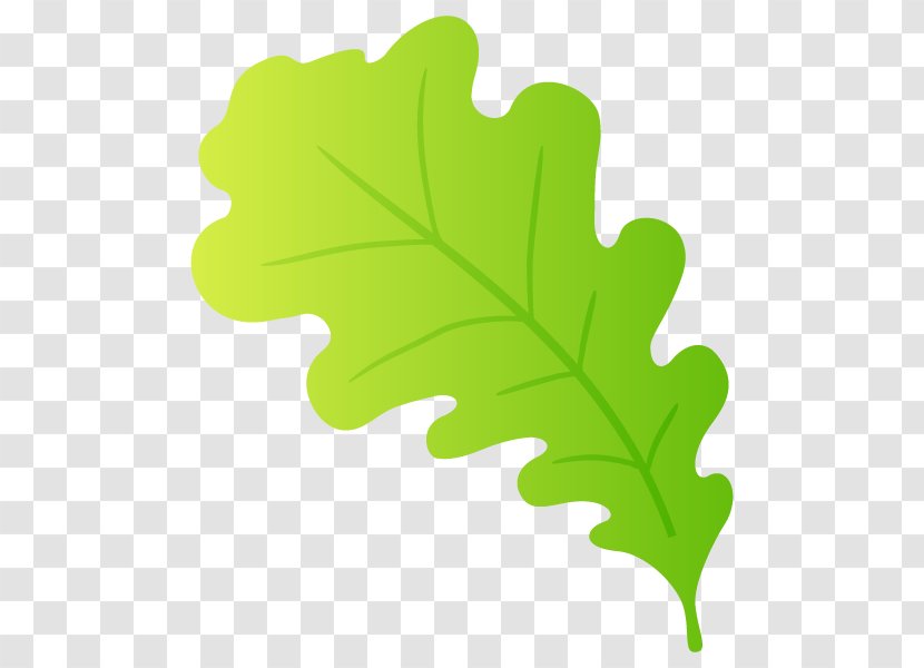 Leaf Plant Stem Tree Transparent PNG