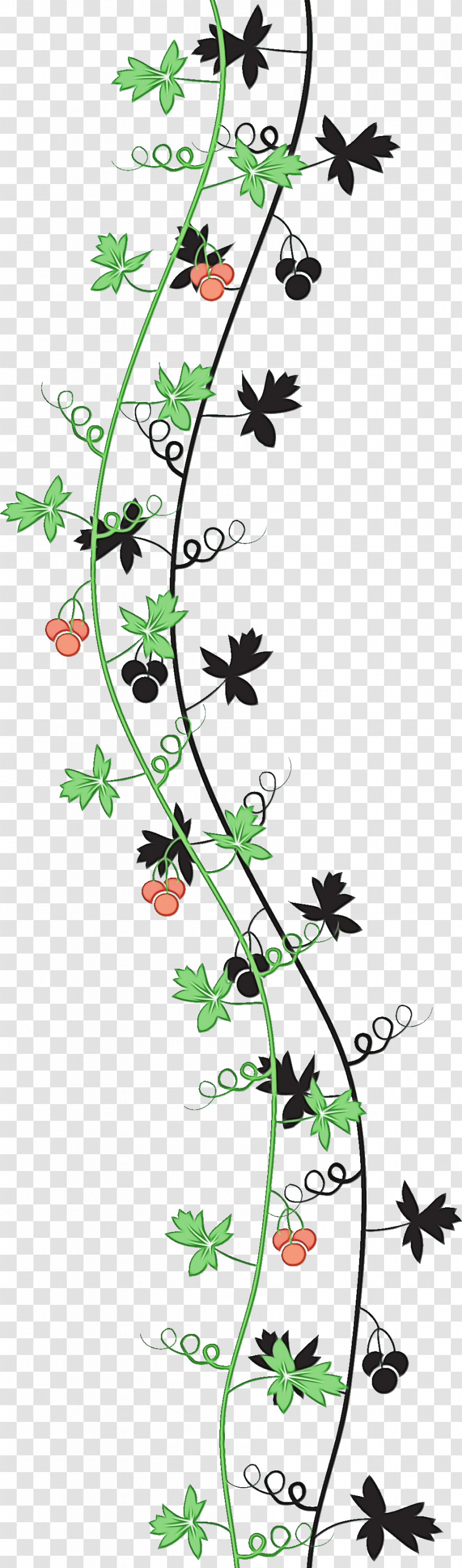 Flower Plant Pedicel Wildflower Plant Stem Transparent PNG