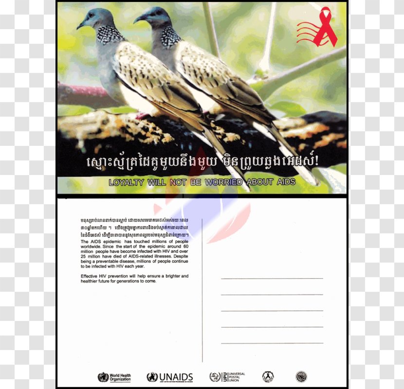 Beak Flora Fauna Advertising - Organism - Khmer New Year Day 2 Transparent PNG