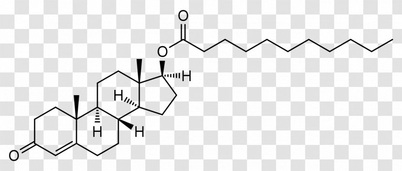 Testosterone Undecanoate Anabolic Steroid Nandrolone Decanoate - Tree - Pituitary Gland Transparent PNG