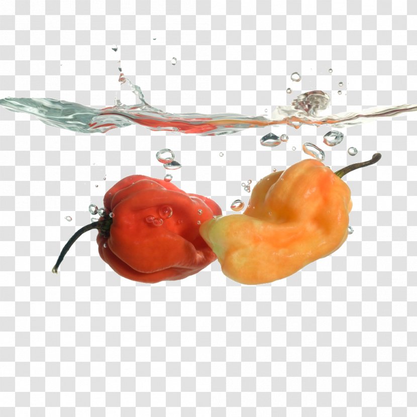 Chili Pepper Bell Drop - Orange - Physical Map Transparent PNG