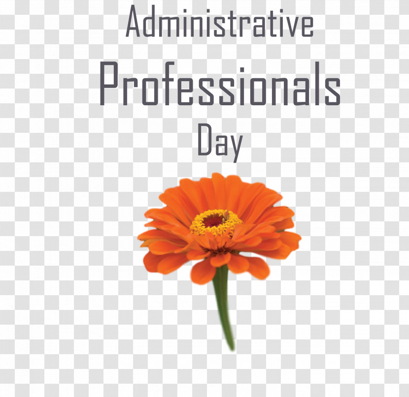 Administrative Professionals Day Secretaries Day Admin Day Transparent PNG