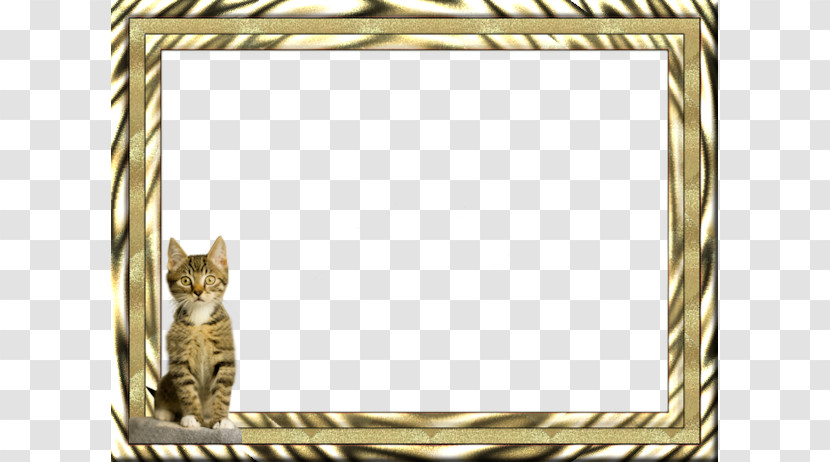 Picture Frame Transparent PNG