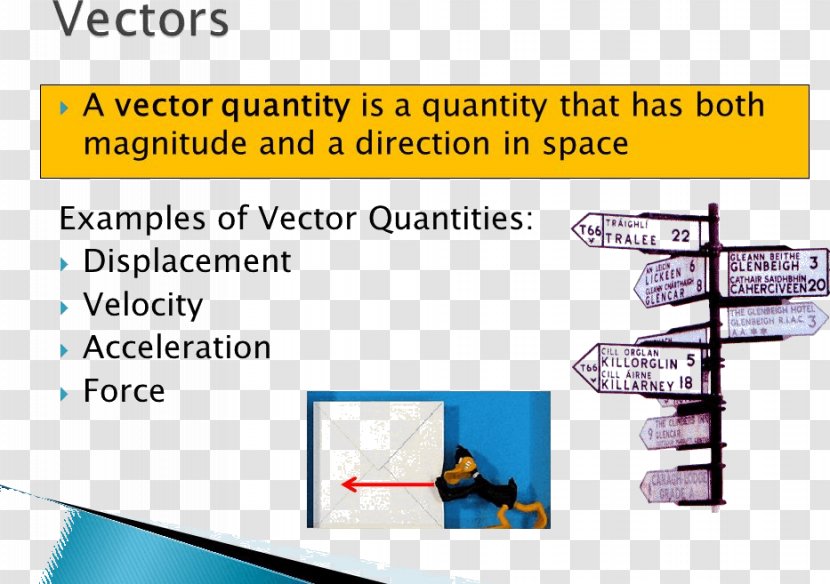 Scalar Quantity Grandezza Vettoriale Motion - Magnitude - Mathematics Transparent PNG