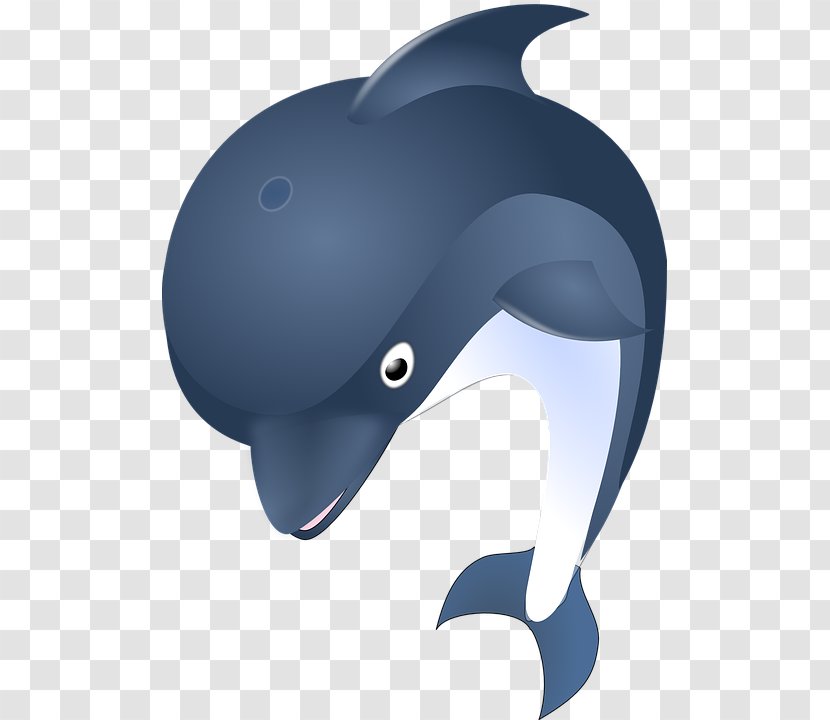 Dolphin Euclidean Vector Clip Art - Bicycle Helmet - Cute Transparent PNG