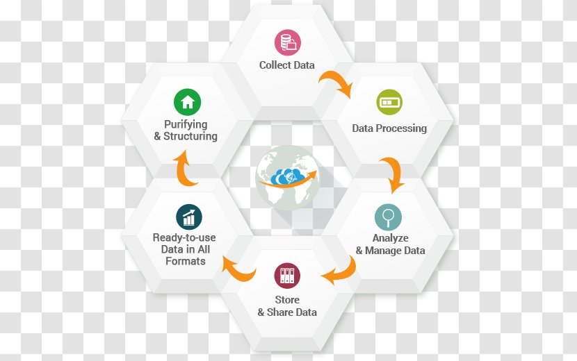 Logo Brand Organization - Diagram - Design Transparent PNG