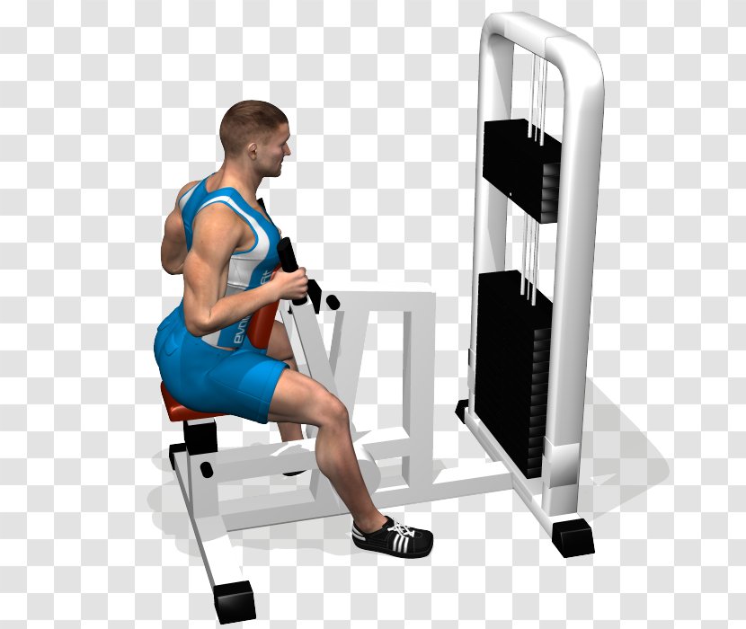 Shoulder Upright Row Fitness Centre Latissimus Dorsi Muscle - Watercolor - Low Profile Transparent PNG