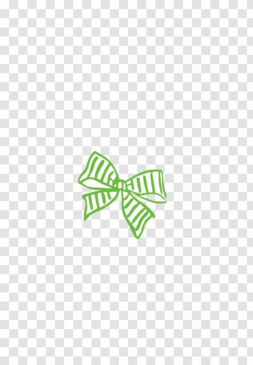 Bow Tie Shoelace Knot - Point Transparent PNG