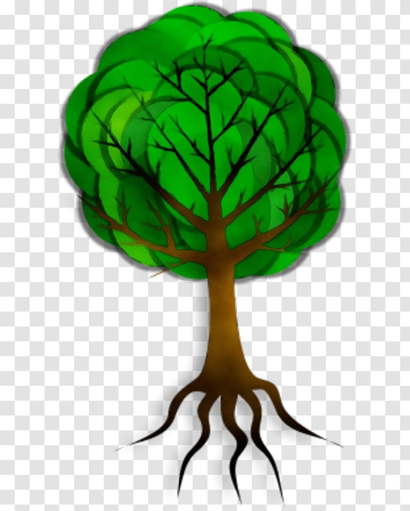 Green Leaf Watercolor - Plant - Vegetable Stem Transparent PNG