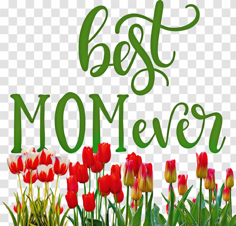 Mothers Day Best Mom Ever Mothers Day Quote Transparent PNG