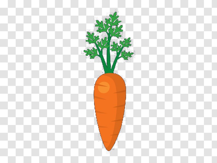 Carrot Vegetable Chinese Cabbage - Sustainability - With Leaves Transparent PNG