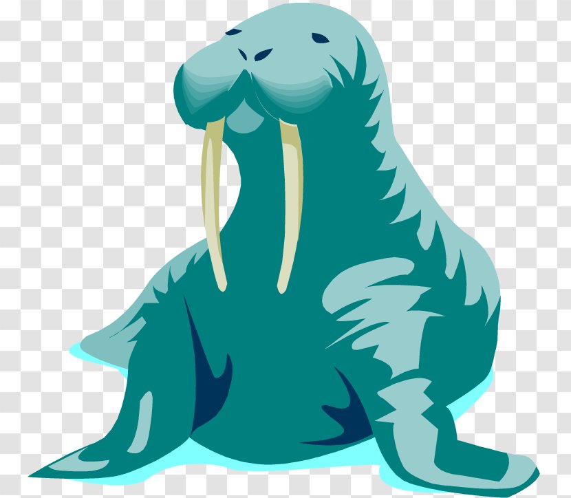 Walrus Free Content Clip Art - Photography - Pictures Transparent PNG