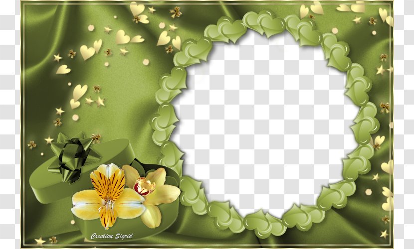 Painting Download Photography - Flower - Green Frame Transparent PNG