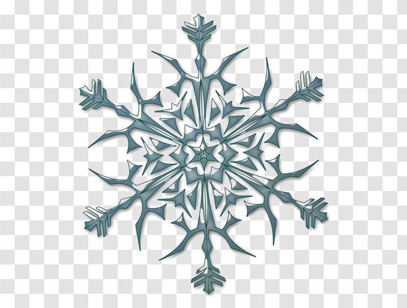 Snowflake Hexagon - Monochrome Photography - Hexagonal Snowflakes Transparent PNG