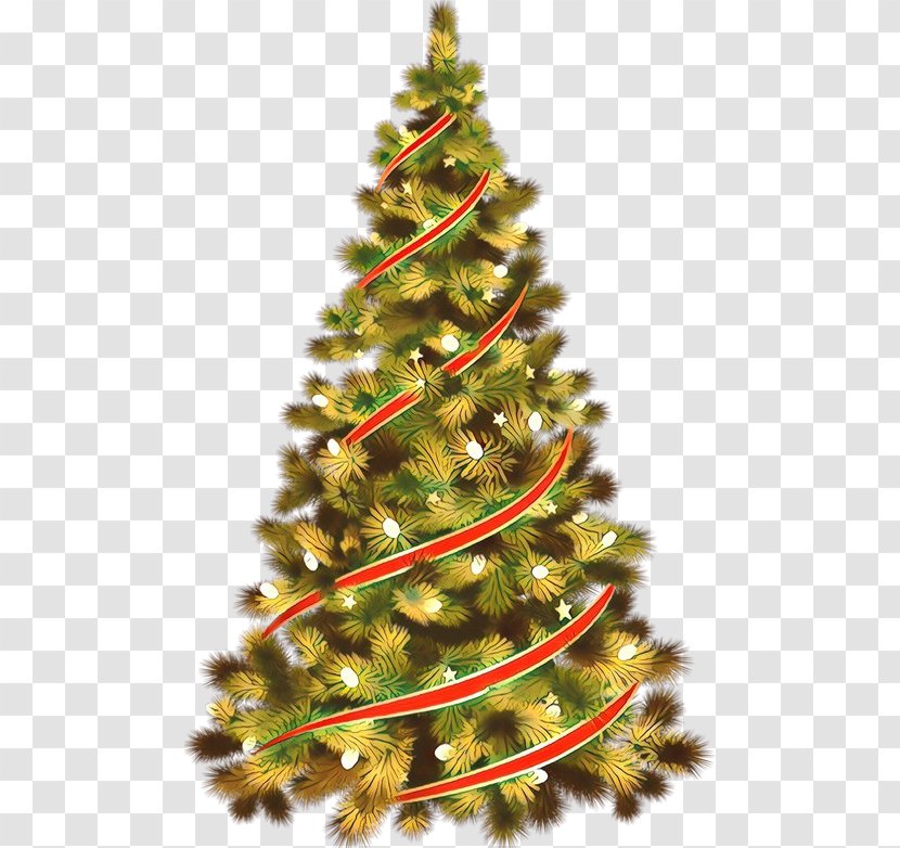 Christmas Tree - White Pine - Spruce Balsam Fir Transparent PNG