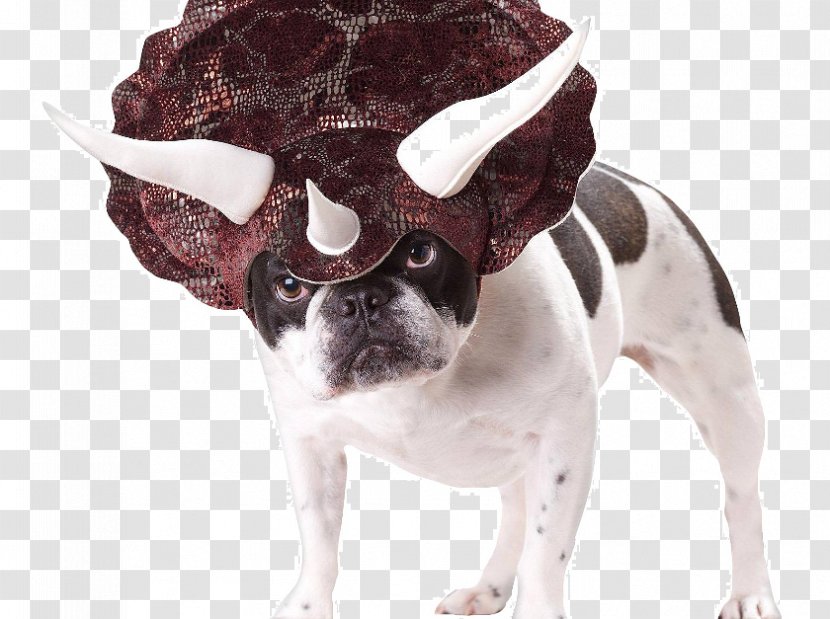 Triceratops Dog Halloween Costume Amazon.com - Dinosaur Transparent PNG