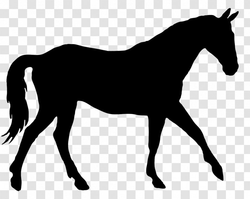American Quarter Horse & Hound Dressage Silhouette Clip Art - Horseshoe Transparent PNG