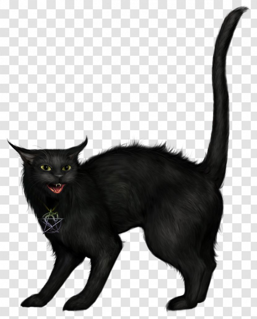 Black Cat Halloween Clip Art - Small To Medium Sized Cats - Witch Transparent PNG