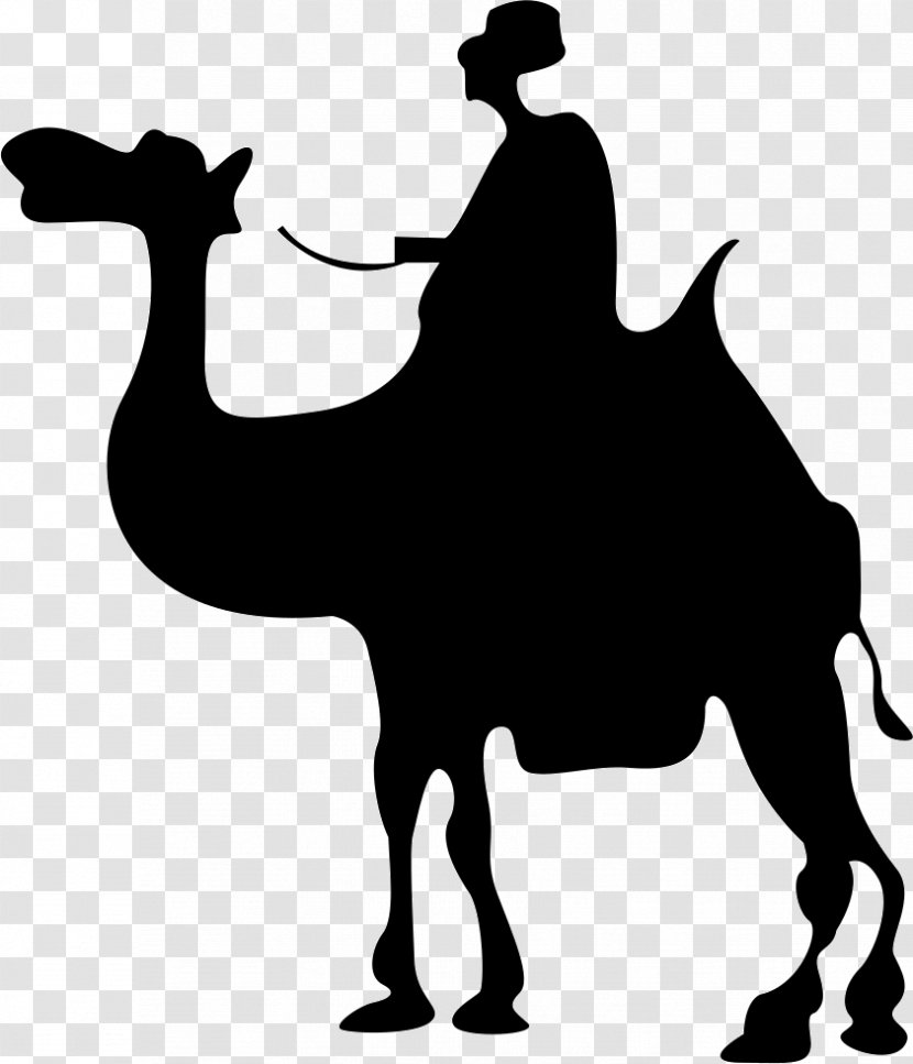 Camel Silhouette - Monochrome Transparent PNG