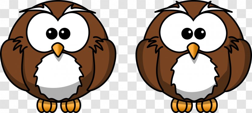 Owl Cartoon Drawing Clip Art - Beak - Owls Transparent PNG