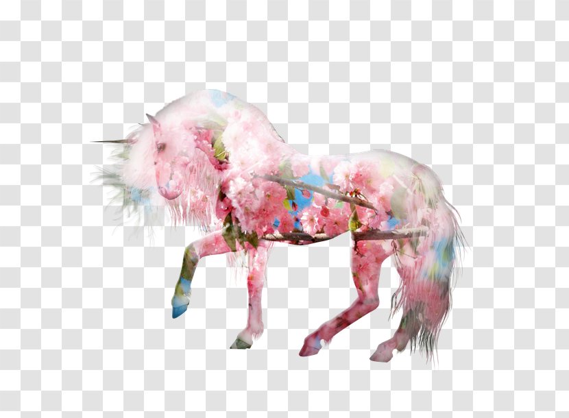 Unicorn Pink M RTV Snout Yonni Meyer - Pony Transparent PNG