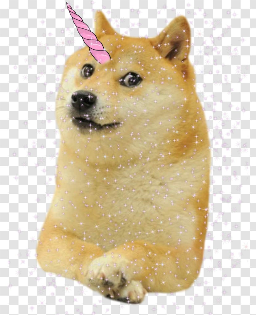 Shiba Inu Samoyed Dog Dogecoin Christmas - Finnish Spitz Transparent PNG