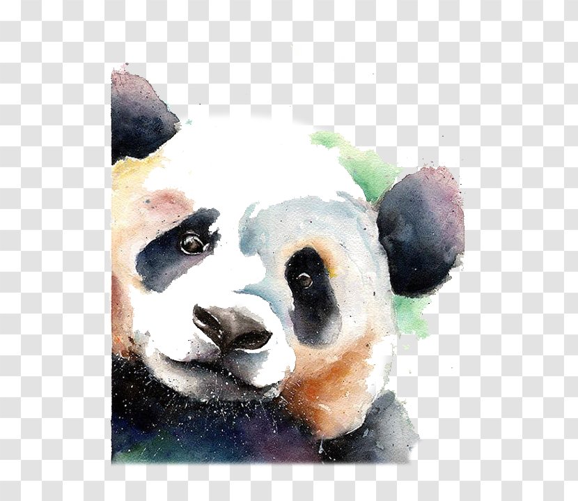 Giant Panda Bear Watercolor Painting Drawing - Dog Like Mammal Transparent PNG