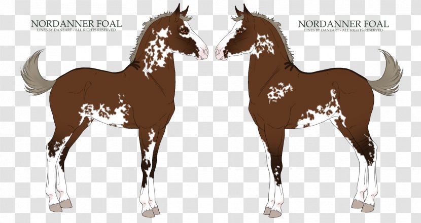 Foal Mare Mustang Stallion Pony - Horse Tack - Funny Once Upon A Time Transparent PNG