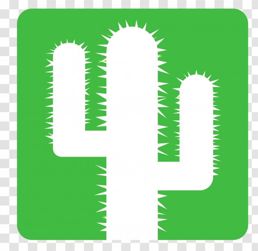 Cactus Et Succulentes Succulent Plant Cephalocereus Senilis Saguaro Square - Fiquier De Barbarie Transparent PNG