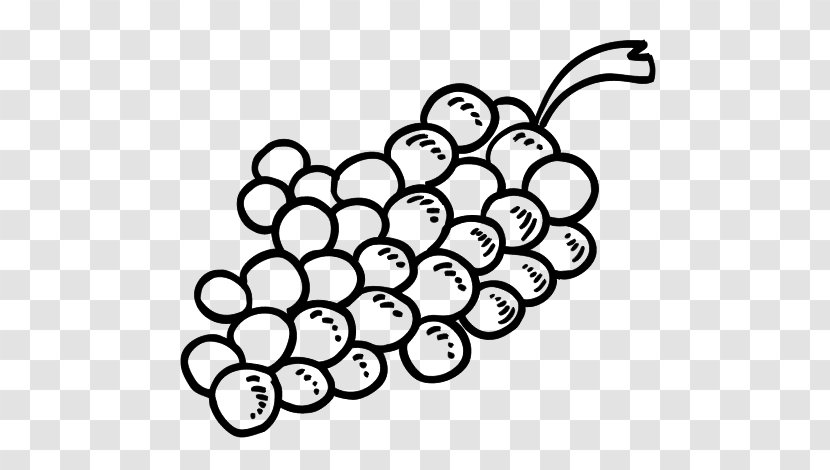 Common Grape Vine Wine Coloring Book Leaves - Grapevine Family - Sketch Transparent PNG