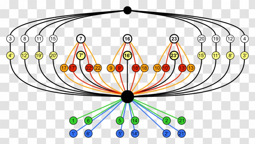 Octahedral Symmetry Octahedron Rotational Group - Order - Cycle Transparent PNG