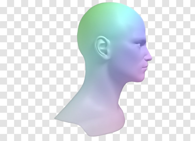 Nose Chin Forehead Jaw - Mannequin Transparent PNG