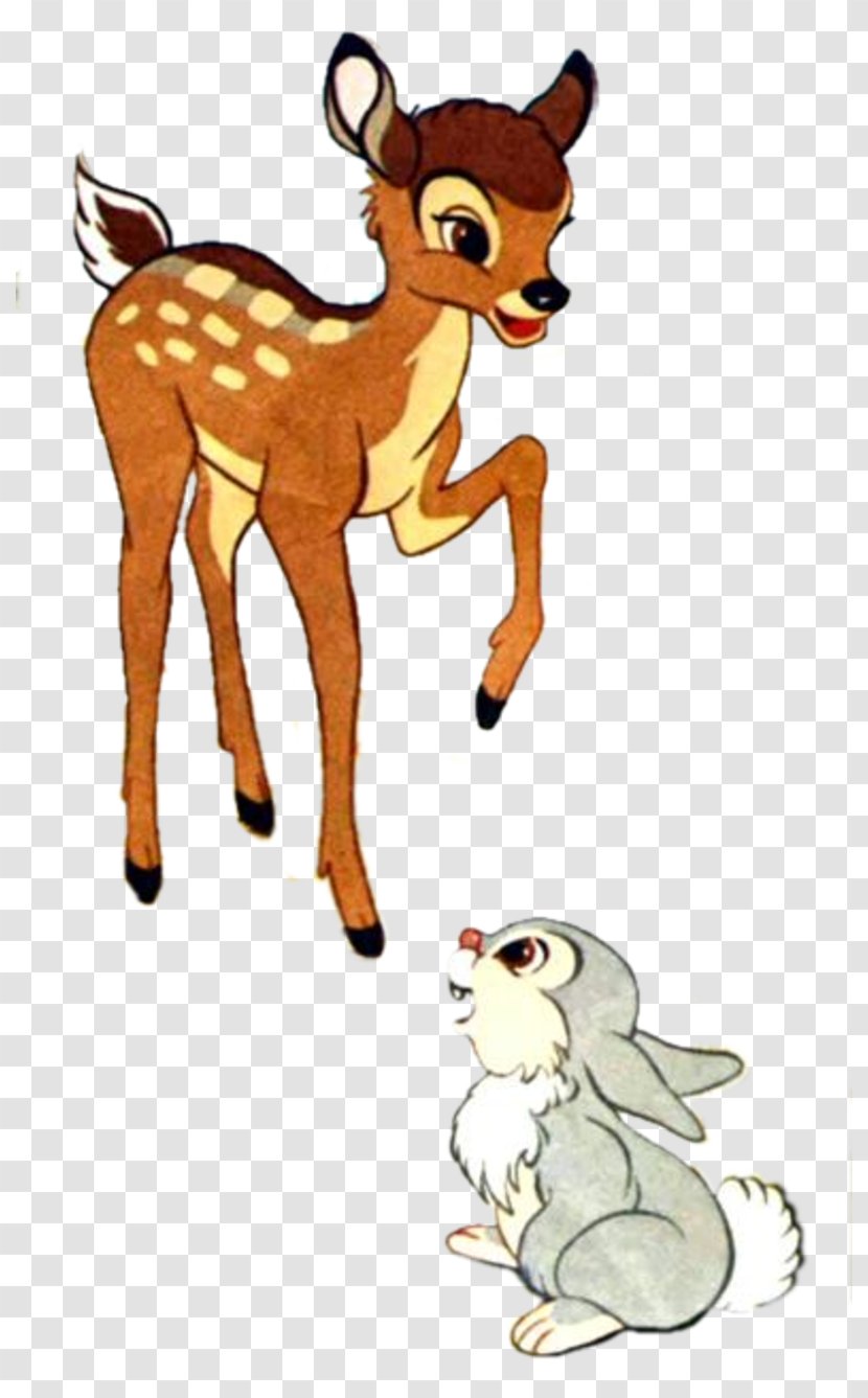 Red Fox Deer Macropodidae Cat Mammal - Cartoon Transparent PNG
