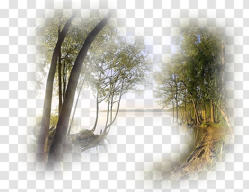Fog Desktop Wallpaper Night Elfida - Nature Transparent PNG