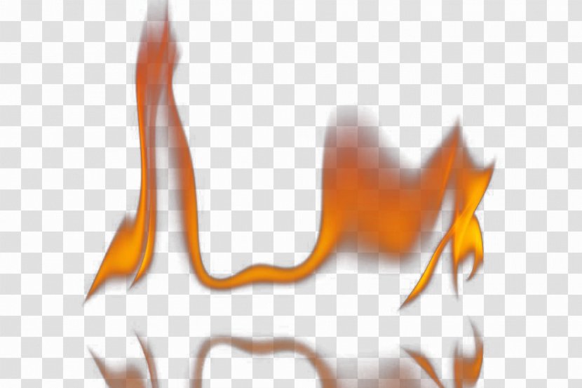 Flame Fire Combustion - Light A Creative Image Transparent PNG