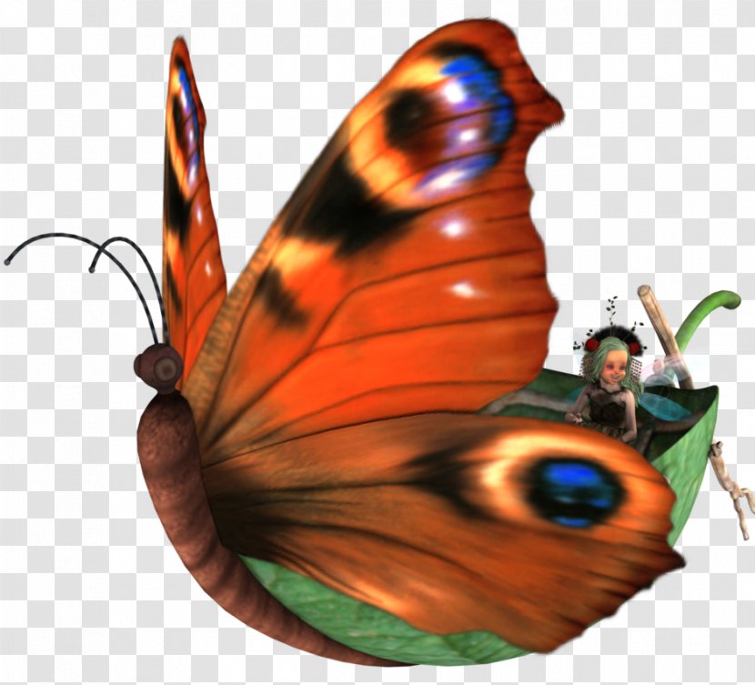 Monarch Butterfly Lycaenidae Nymphalidae - Invertebrate - Watermarking Transparent PNG