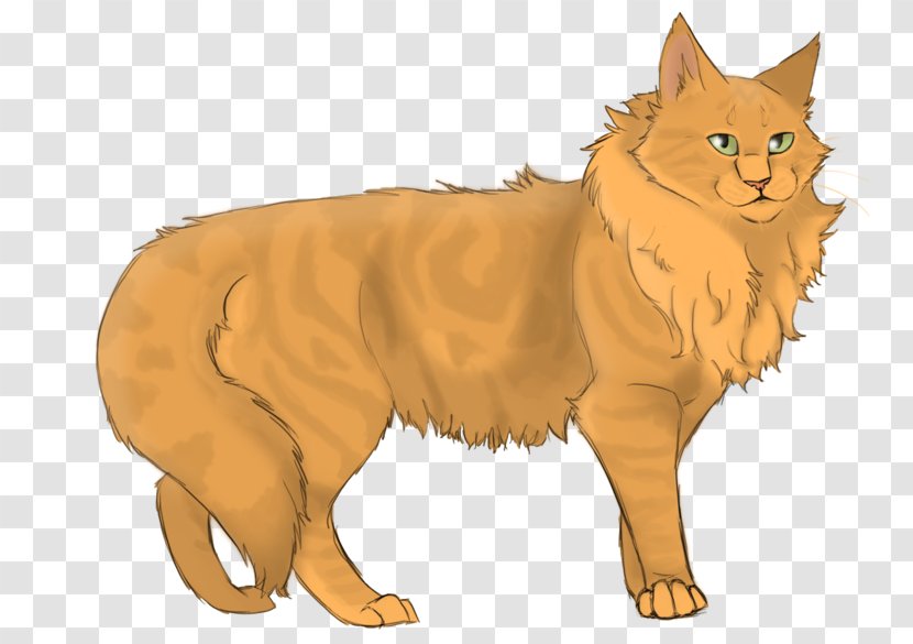 Warriors: The Prophecies Begin Cat Lionheart Graystripe - Small To Medium Sized Cats Transparent PNG