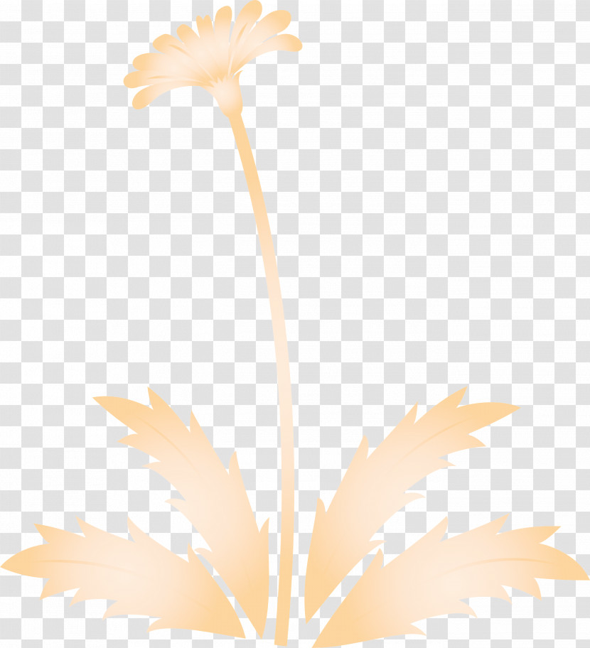 Dandelion Flower Easter Day Flower Spring Flower Transparent PNG