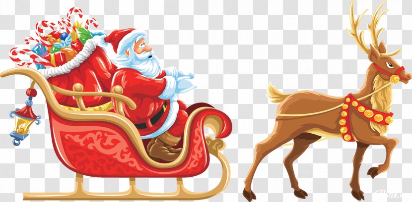 Santa Claus's Reindeer Rudolph Christmas - Deer - Claus Transparent PNG