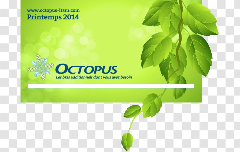 Leaf Herbalism Green Desktop Wallpaper - Plant Stem - Doctor Octopus Transparent PNG