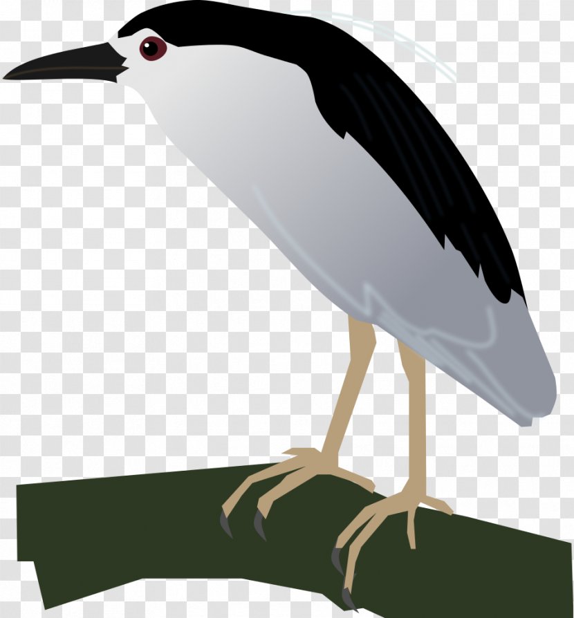 Black-crowned Night Heron Crane Bird Stork - Blackcrowned Transparent PNG