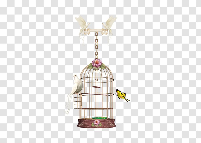 Birdcage Parrot - Cage - Vintage Transparent PNG